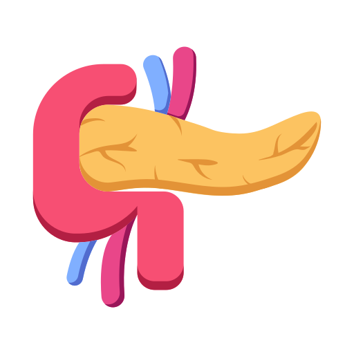 pancreas